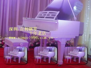 深圳百利二手鋼琴 晶報(bào)專題采訪企業(yè)的成功之道